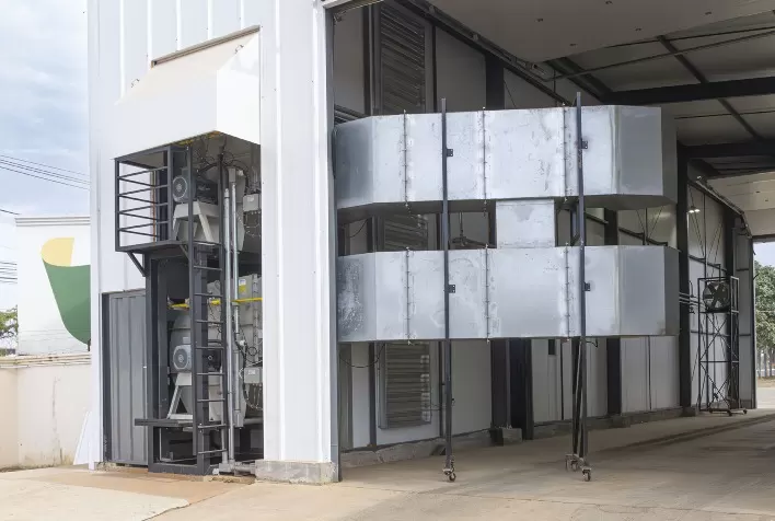 Brasil Prorroga Estado de Emergência por Gripe Aviária e Investe em Tecnologias de Biossegurança