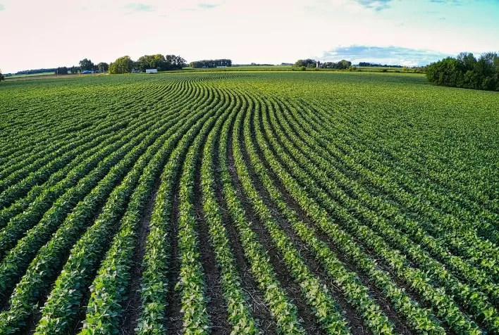Tecnologia do setor elétrico pode transformar o agronegócio brasileiro com IA e Visão Computacional