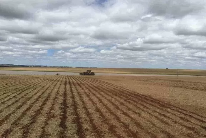 Chuvas irregulares atrasam plantio da soja no Tocantins e preocupam safra de milho safrinha 2026
