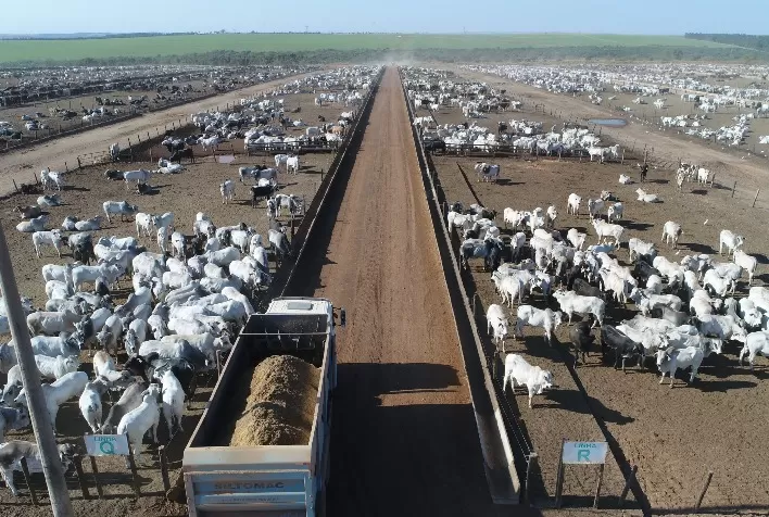 Parcerias de engorda fortalecem confinamento como extensão estratégica para fazendas de cria e recria