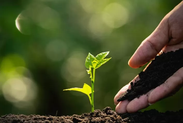 Antes do plantio: como o planejamento e o manejo integrado garantem produtividade e reduzem prejuízos
