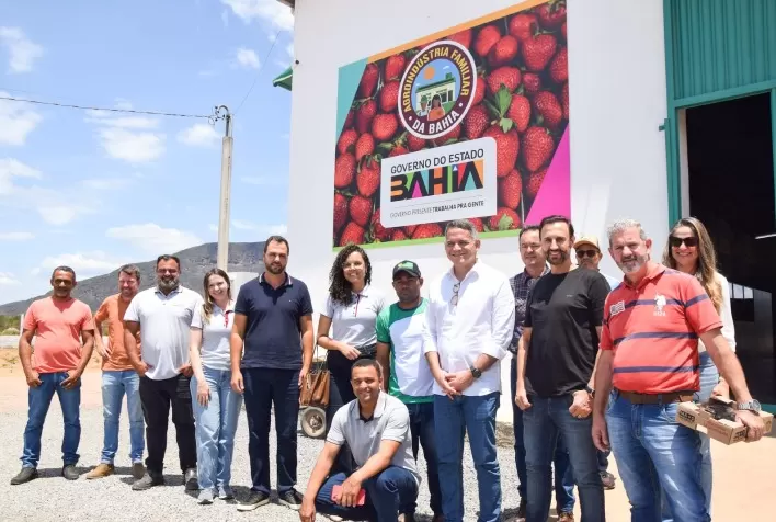 Chapada Diamantina mira liderança na produção de frutas vermelhas com tecnologia e apoio institucional