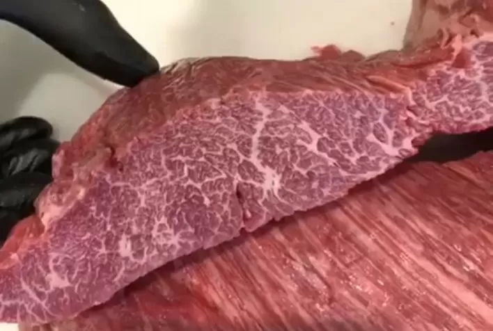 Tecnologia genética revoluciona produção de carne marmorizada no Brasil