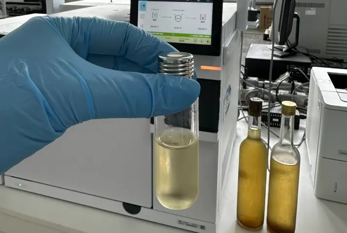 Pesquisa baiana investiga qualidade do hidromel e propõe padrões para fortalecer produção nacional
