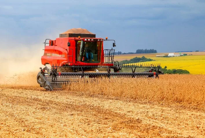 Chuvas de novembro desafiam produtores, mas agro paranaense mantém resiliência e bons resultados em diversas cadeias