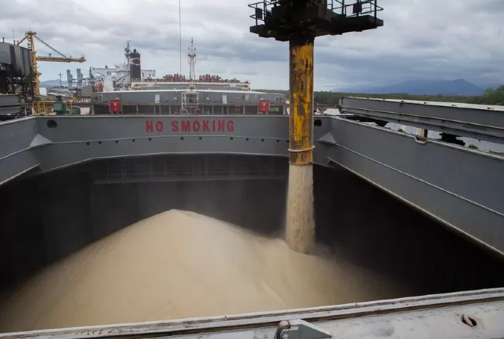 Exportações brasileiras de açúcar somam 3 milhões de toneladas em novembro e mantêm ritmo elevado após forte desempenho em outubro