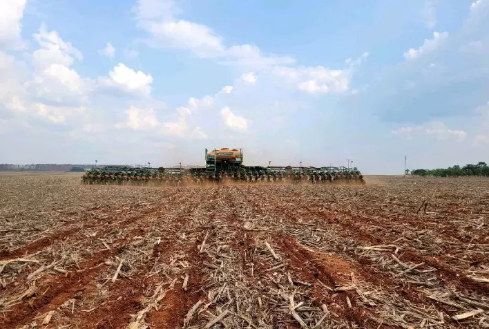 Plantio da soja 2025/26 no Paraná atinge 86% da área prevista, mas replantio eleva custos para produtores