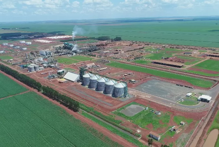 CerradinhoBio registra alta de 56,2% no EBIT no primeiro semestre da Safra 25/26