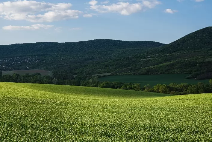 Votação da Lei Geral do Licenciamento Ambiental segue indefinida e preocupa setor do agronegócio