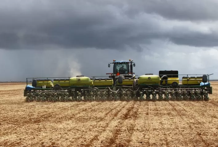 Chuvas Freiam Plantio: Soja 2025/26 em Mafra (SC) Atinge 70% da Área Prevista