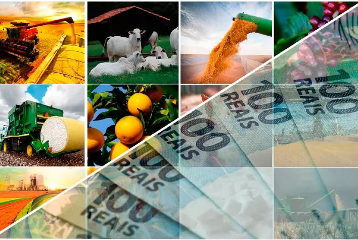 Crédito rural caro e juros elevados pressionam o agronegócio: gestão técnica e renegociação de dívidas se tornam essenciais