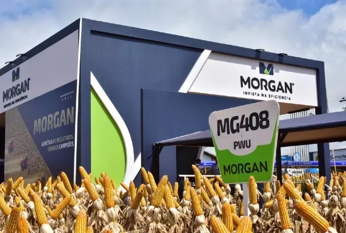 LongPing High-Tech apresenta híbridos de milho e sorgo no Dia de Campo da C.Vale em Palotina (PR)