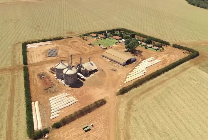 Produtor de Mato Grosso conquista recorde nacional ao colher 268,4 sacas de milho por hectare
