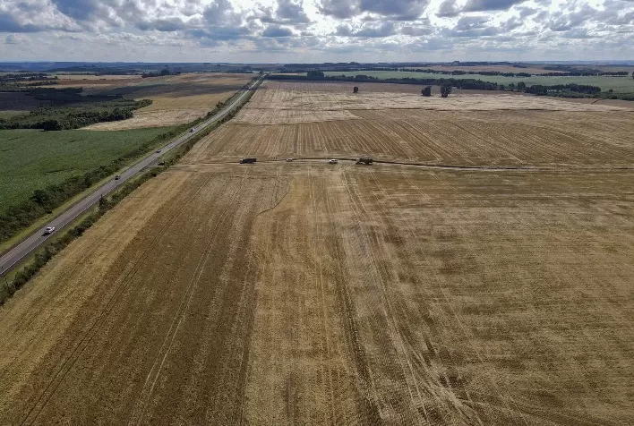Paraná alcança safra recorde de 46,8 milhões de toneladas em 2024/25, com milho liderando a produção