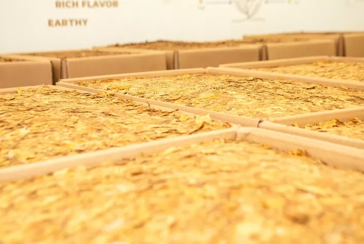 Câmara Setorial do Tabaco debate COP 11, exportações e desafios da safra 2025/26
