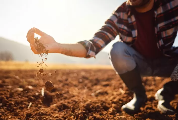 Reflexão pós COP 30: como o agronegócio pode regenerar o planeta a partir do solo?