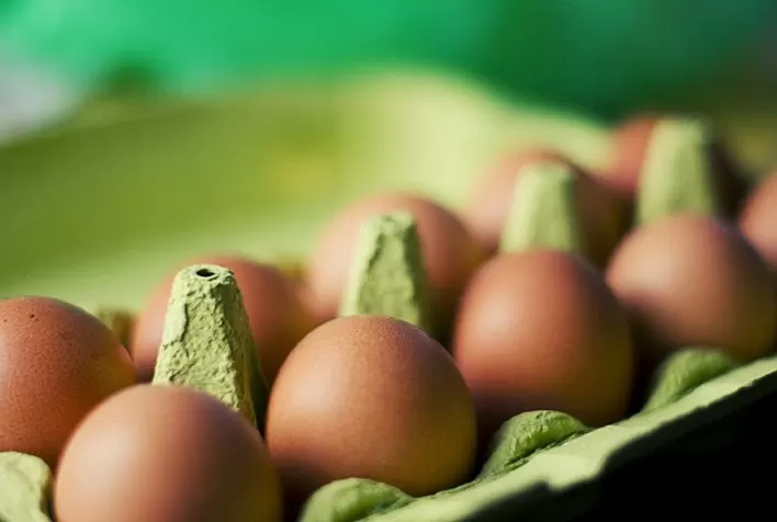 MBRF conclui transição global para uso de ovos cage-free e reforça liderança em bem-estar animal