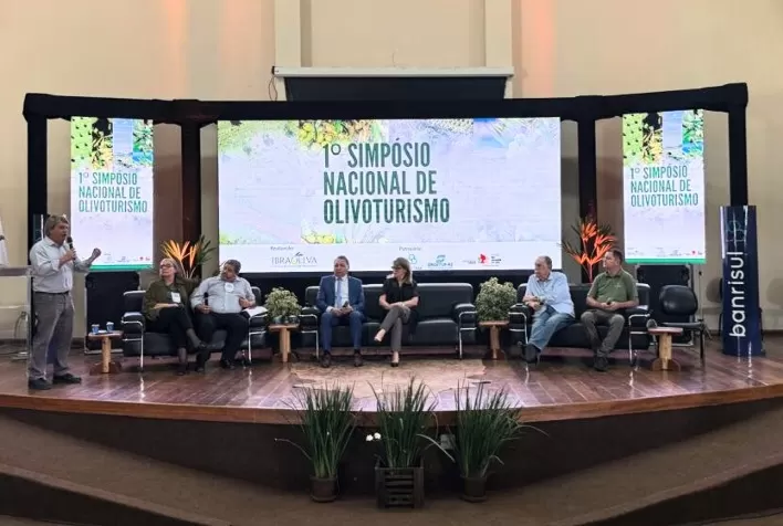 Olivoturismo no Brasil: produtores defendem experiência completa para turistas