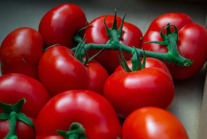 Preço do tomate sobe com fim da safra de inverno e menor oferta nas centrais atacadistas