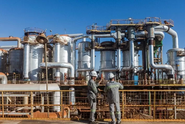 BP Bioenergy aumenta eficiência na produção de etanol com leveduras biotecnológicas