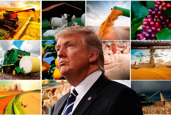 Agricultores dos EUA afirmam que pacote de US$ 12 bilhões é insuficiente para compensar perdas do setor