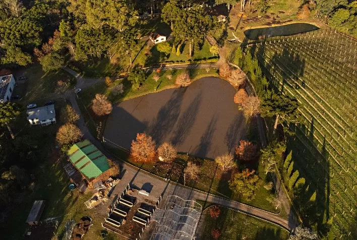 Vinícola Madre Terra se consolida como destino de enoturismo sensorial e gastronômico na Serra Gaúcha