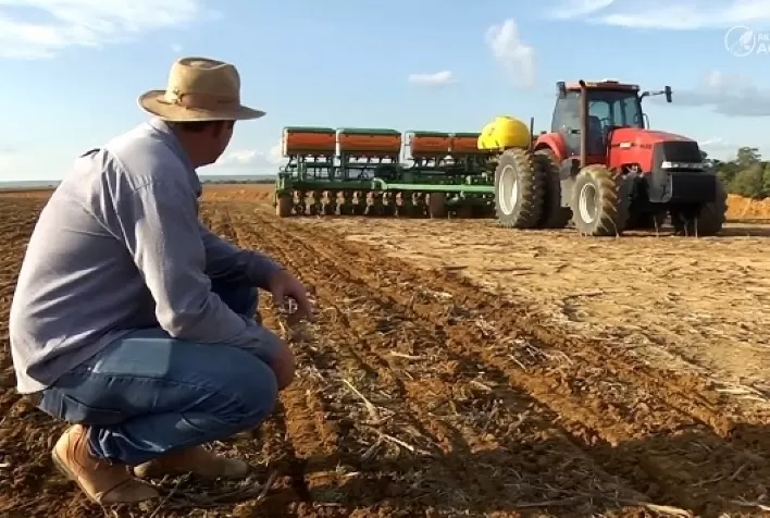 Safra de soja em Mato Grosso atinge custo recorde de R$ 54,39 bilhões e pressiona produtores a repensar manejo
