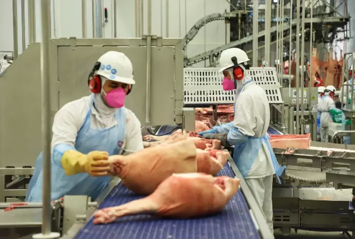 Indústria da carne suína mantém cautela nas negociações em meio à sazonalidade e leve recuperação do consumo