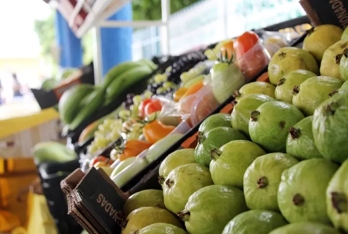 Comércio de frutas e flores na CEAGESP deve crescer 30% neste fim de ano com alta demanda natalina