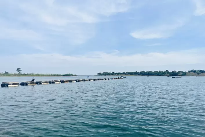 Centro de Excelência da ADM completa 15 anos e impulsiona inovação sustentável na aquicultura brasileira