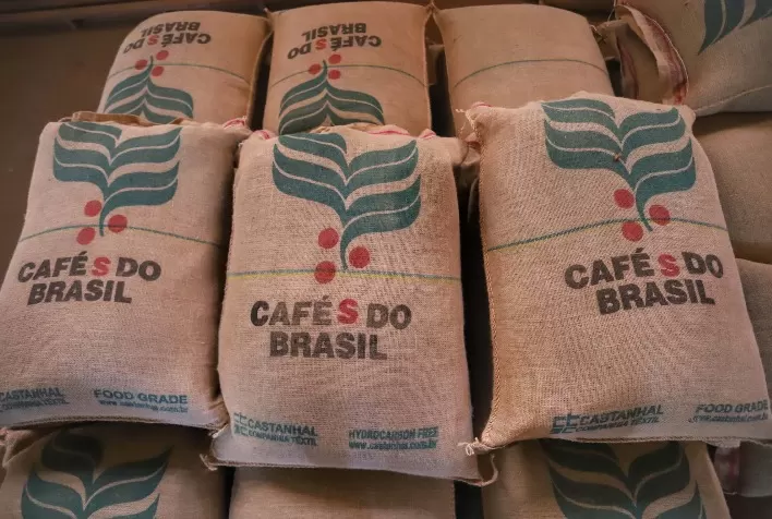 Produtores dosam ritmo de vendas e comercialização de café atinge 69% da safra 2025/26