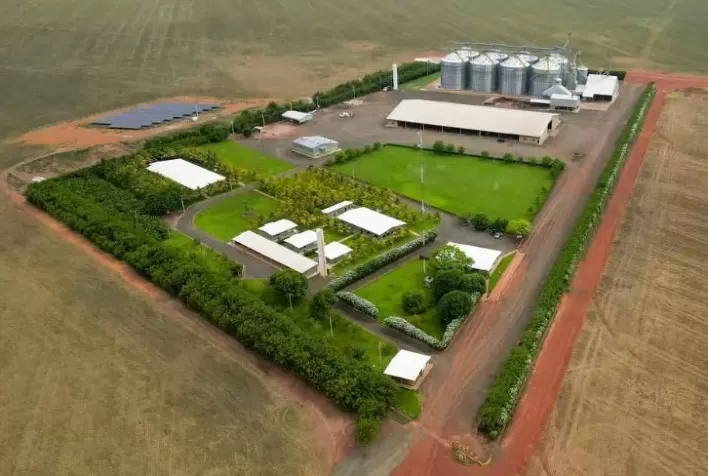 Projeto da BrasBio promete transformar o Piauí em polo de etanol de milho e sorgo