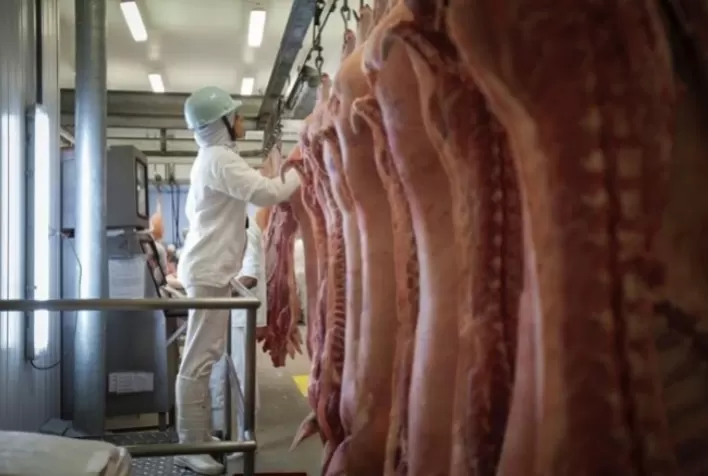 Exportações de carne suína caem em novembro, mas Brasil deve liderar crescimento global em 2026, aponta Itaú BBA