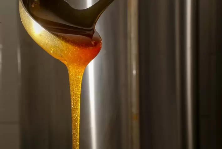 Exportações de mel brasileiro recuam em volume, mas receita cresce com valorização no mercado internacional
