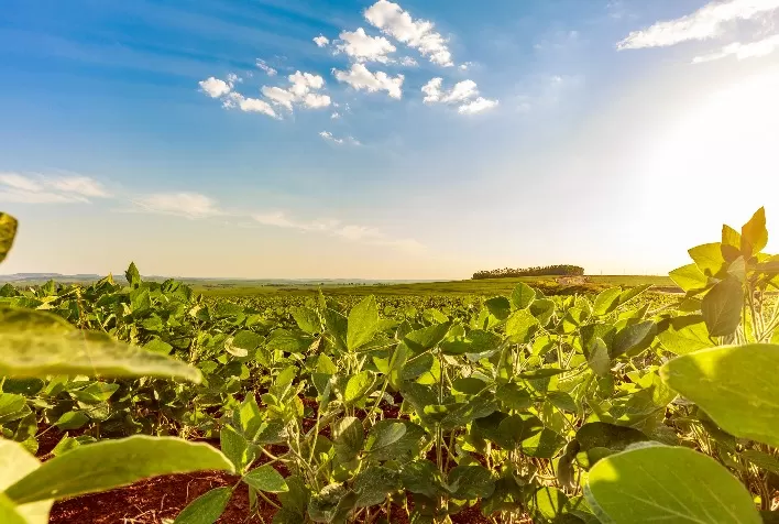 STF confirma validade de incentivos fiscais a defensivos agrícolas e reforça competitividade do agronegócio