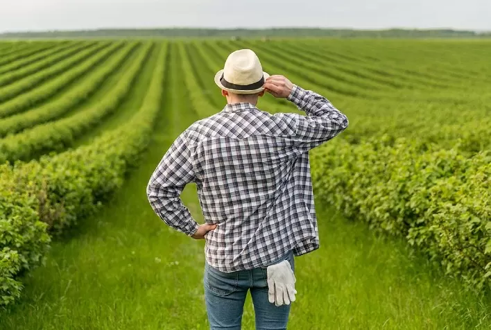 Reforma Tributária acende alerta no agronegócio: produtores devem revisar créditos de ICMS para evitar perdas em 2026
