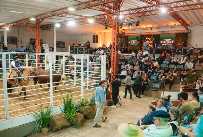 Remates oficiais de Hereford e Braford crescem 10% e movimentam mais de R$ 47 milhões em 2025