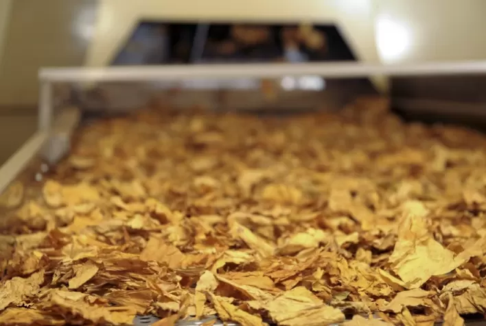 Acordo Mercosul–União Europeia deve impulsionar competitividade do tabaco brasileiro no mercado europeu