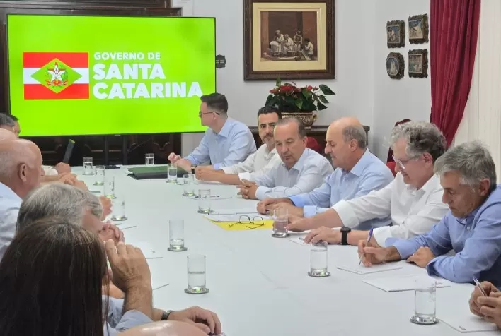 Produtores de arroz de Santa Catarina pedem medidas urgentes ao governo para evitar colapso do setor