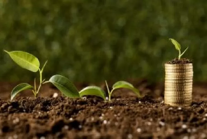 Pequenos investidores encontram novas oportunidades no boom do agronegócio brasileiro