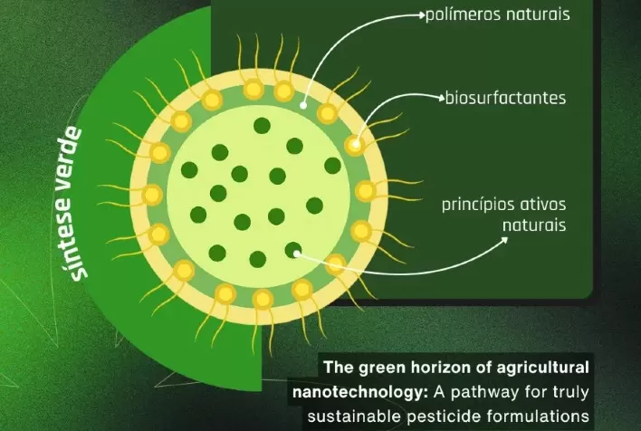 Nanopesticidas verdes: estudo define materiais sustentáveis e critérios para nova geração de pesticidas agrícolas