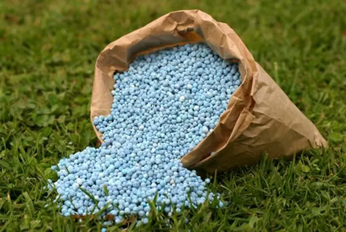 Dependência de fertilizantes expõe risco estratégico do Brasil e acelera investimentos na produção nacional