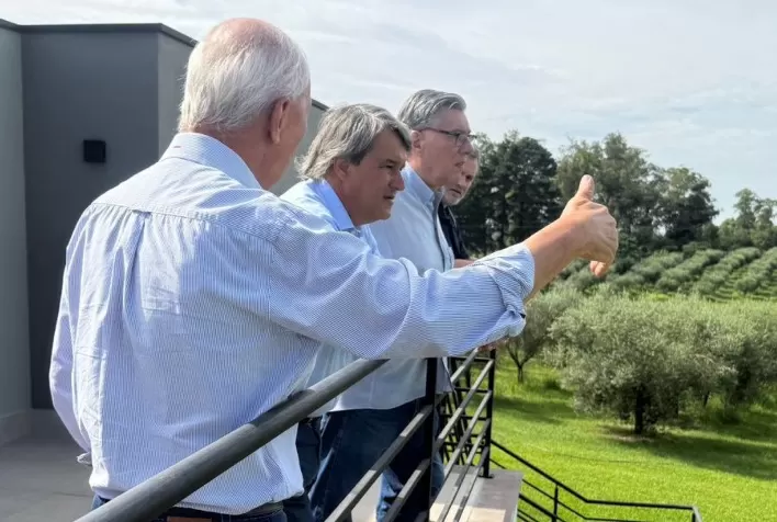 Abertura da Colheita da Oliva no RS muda para abril e ganha foco em negócios para o setor