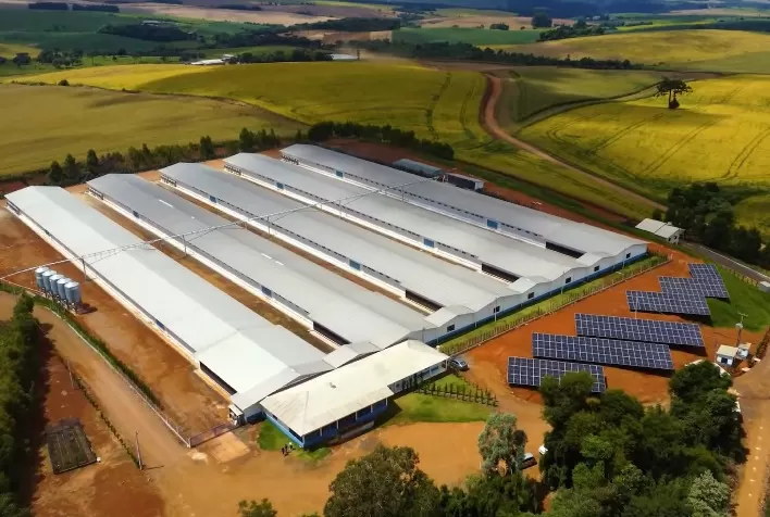 Seara avança em sustentabilidade: 75% das granjas integradas já utilizam energia limpa