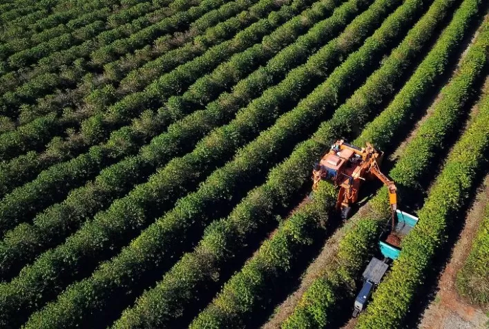 BRDE movimenta R$ 1,26 bilhão no agro paranaense e reforça presença no Show Rural Coopavel 2026