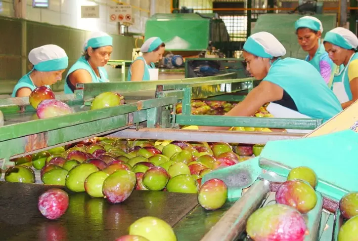 Brasil bate recorde histórico nas exportações de frutas em 2025 e amplia presença no mercado global