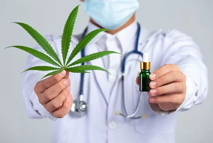 Anvisa apresenta proposta histórica para regulamentar a cannabis medicinal no Brasil