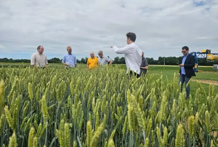 INCT NanoAgro abre oportunidades para estudantes que desejam atuar com nanotecnologia e agricultura sustentável