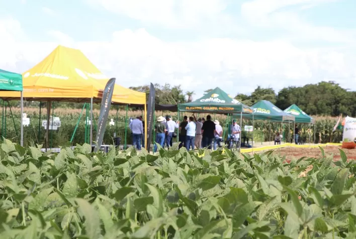 Copagril promove Dias de Campo e fortalece transferência de tecnologia no Paraná e Mato Grosso do Sul