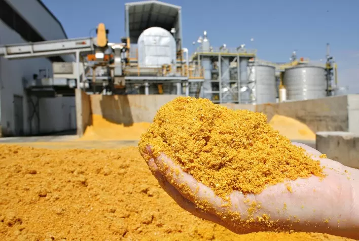 Inpasa inaugura exportação de DDGS para a China e amplia presença global no mercado de nutrição animal
